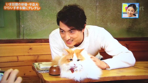 芸能人と動物の写真