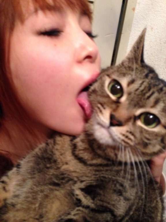 芸能人と動物の写真