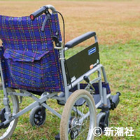 「地裁が泣いた介護殺人」10年後に判明した「母を殺した長男」の悲しい結末 | デイリー新潮