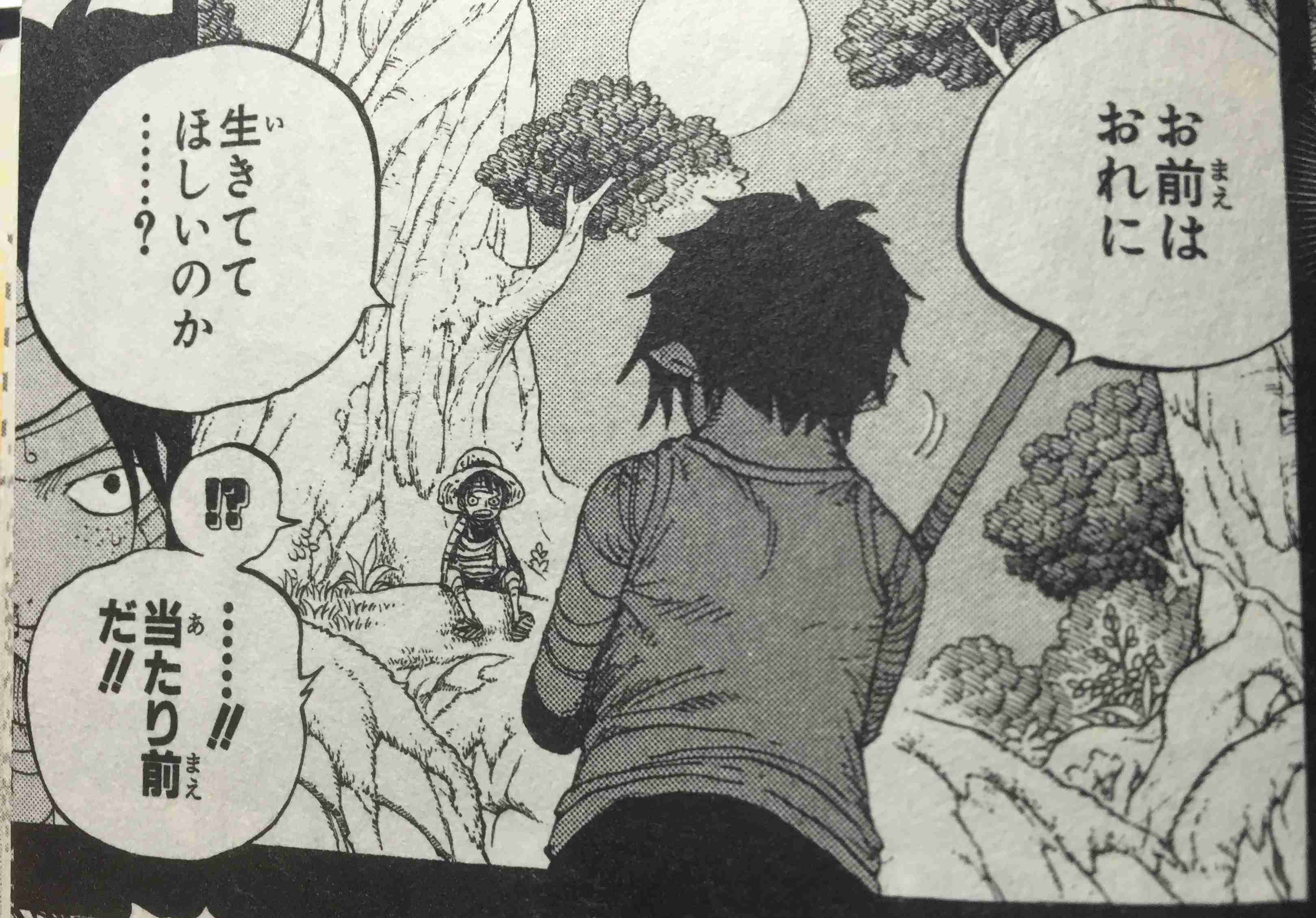 「ONE PIECE」の好きなキャラクター
