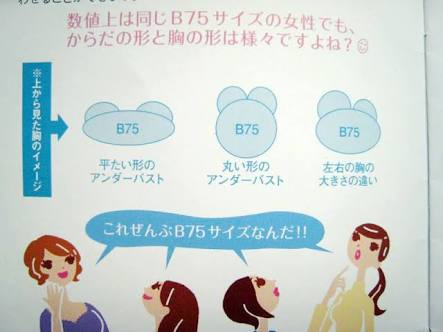 女性の身長の低い・普通・高いの基準