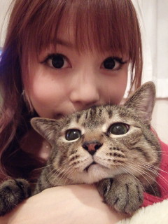 芸能人と動物の写真