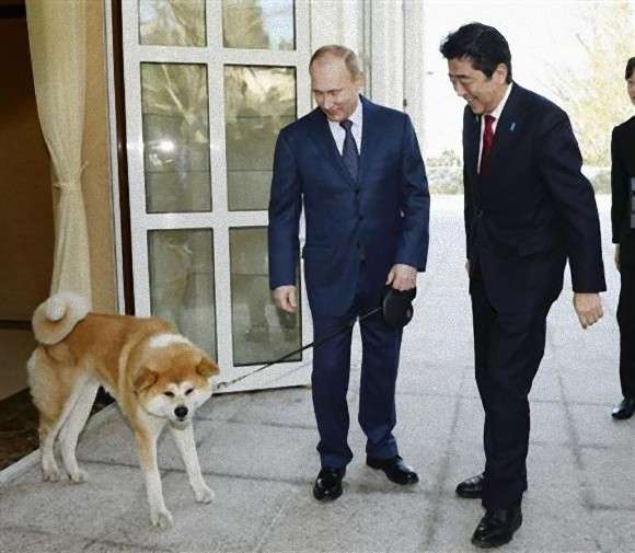プーチンの画像を集めよう！part2