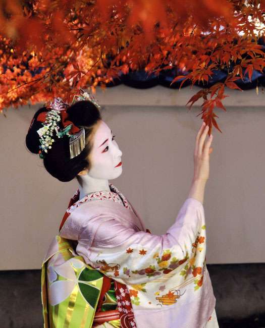かわいい舞妓さんの画像が集まるトピ。