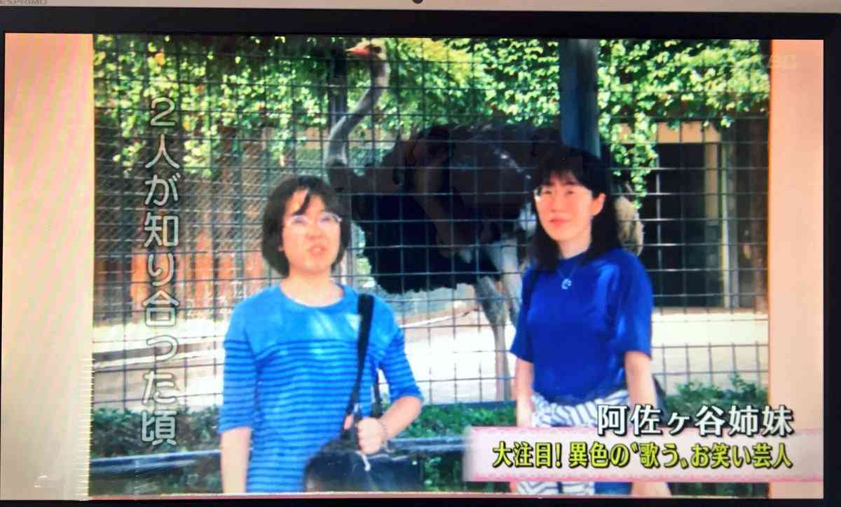 黒柳徹子、阿佐ヶ谷姉妹のピンクドレスの値段にびっくり！