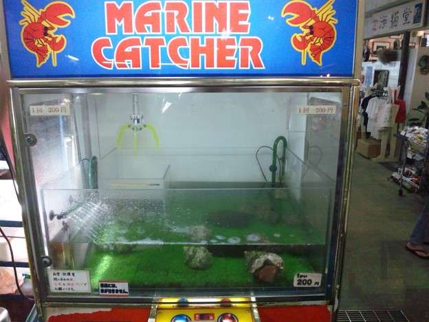 クレーンゲームのびっくりな景品！