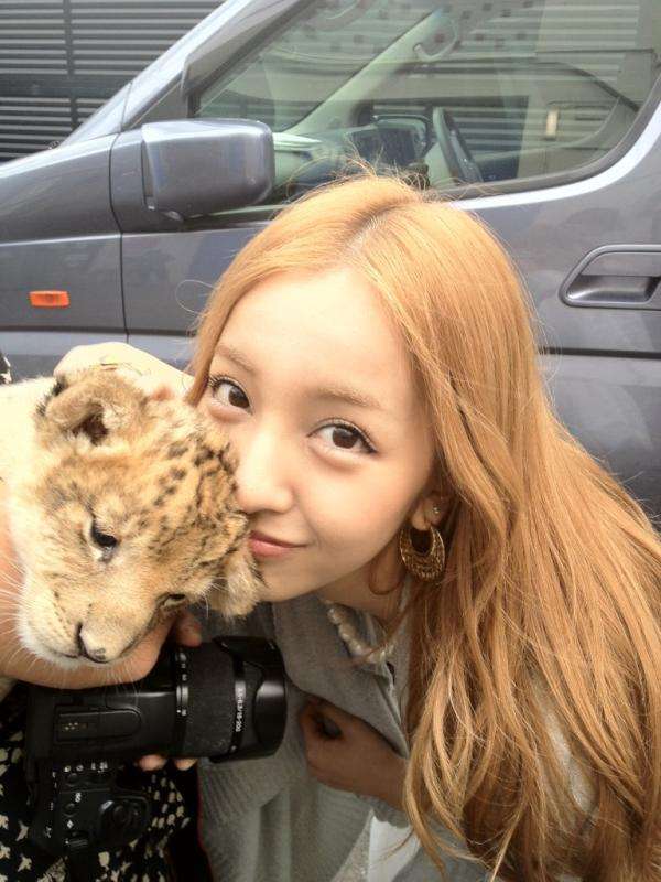 芸能人と動物の写真