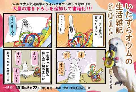 鳥が好きな方、集合ー！