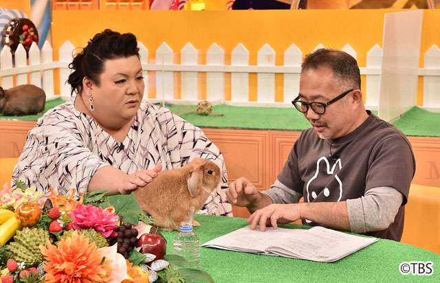 芸能人と動物の写真