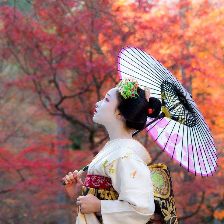 かわいい舞妓さんの画像が集まるトピ。
