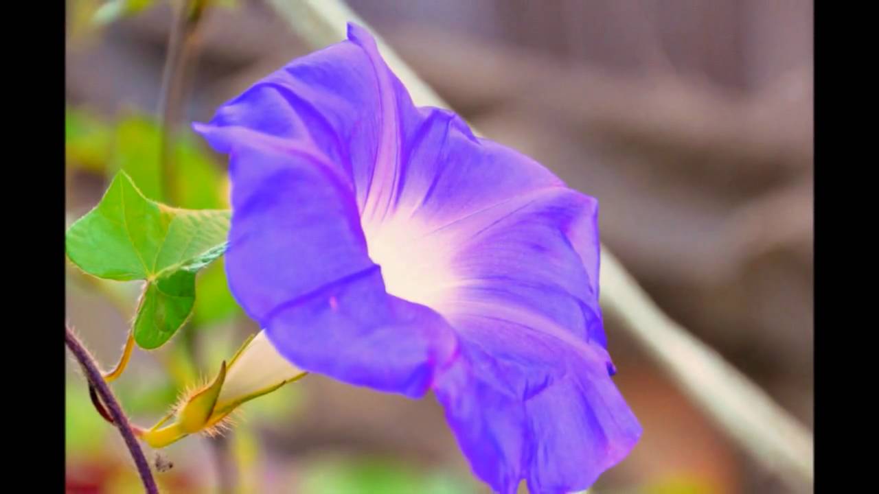 [HD]それでも明日はやってくる - YouTube