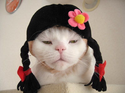 三つ編みが可愛い芸能人の画像を貼るトピ
