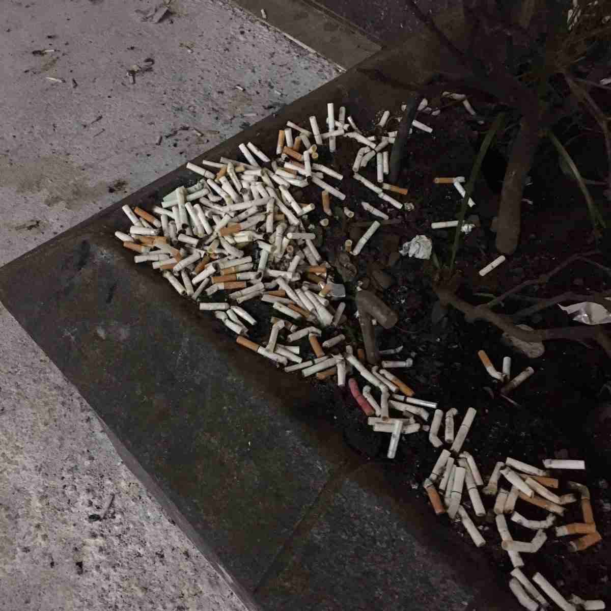 ハチ公前、路上喫煙が後絶たず　清掃員の面前でポイ捨て
