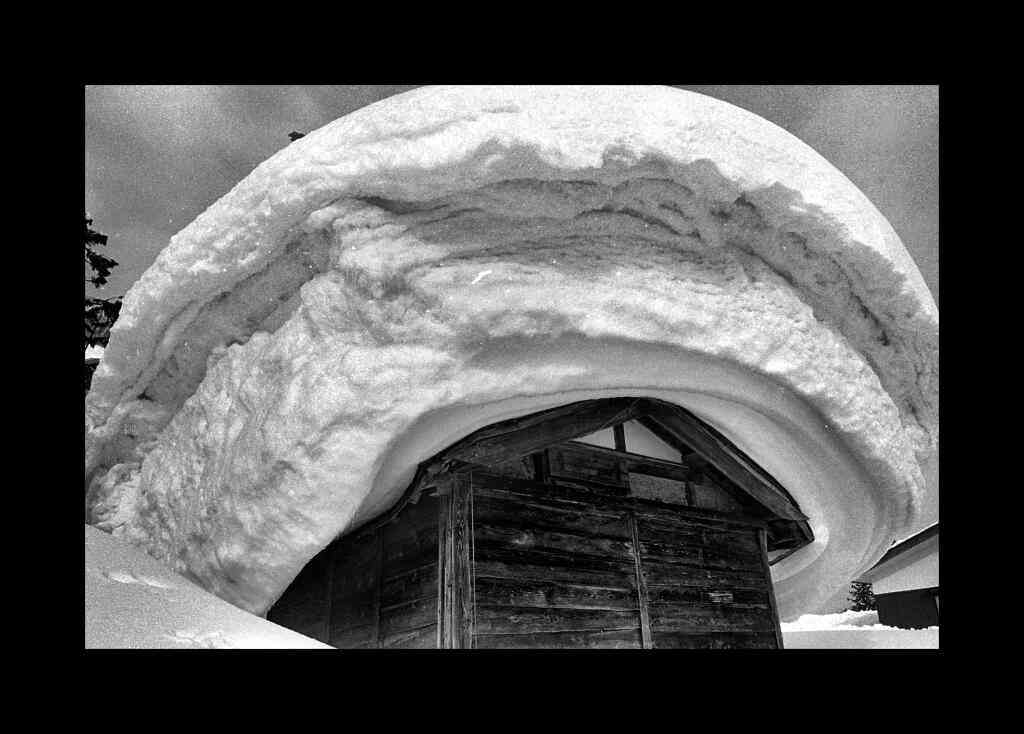 今いる場所の雪の様子を教えてください