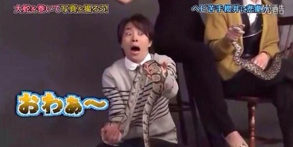 芸能人と動物の写真