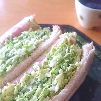 巷で大ブレイク中！みんながハマるサンドイッチ「沼サン」って何！？ | キナリノ