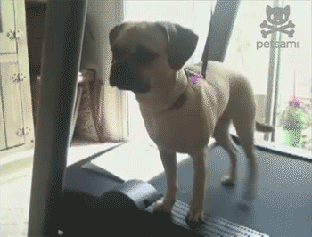 長続きしない人向けのトレーニング