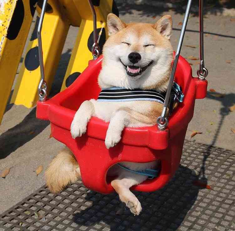 最近発見した面白い画像