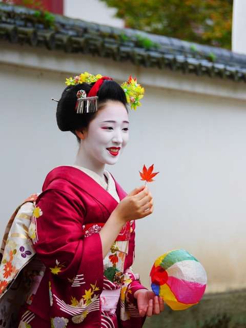かわいい舞妓さんの画像が集まるトピ。