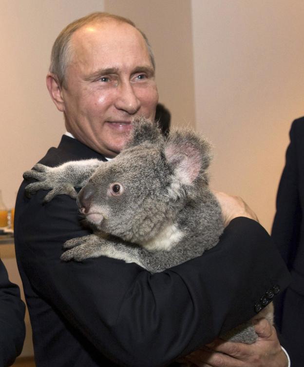 プーチンの画像を集めよう！part2