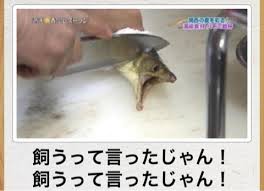 笑いの神を降臨させるトピPart2