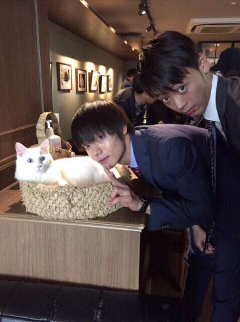 芸能人と動物の写真