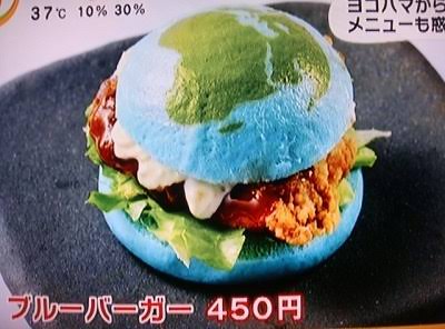画像に間違った解説をつけるトピ