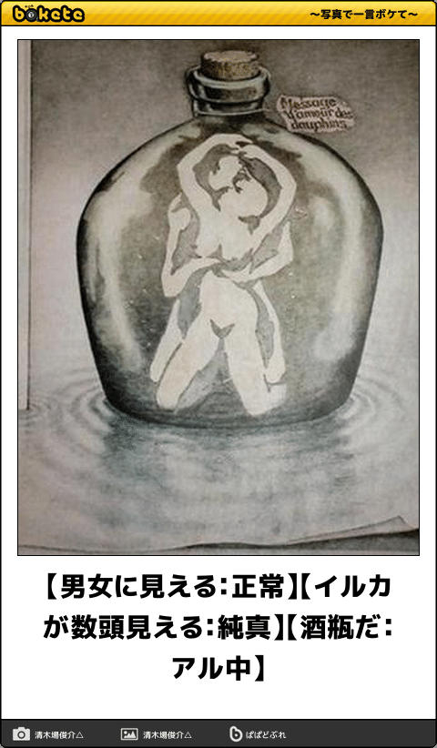 ほんやり見ると違う物に見える画像