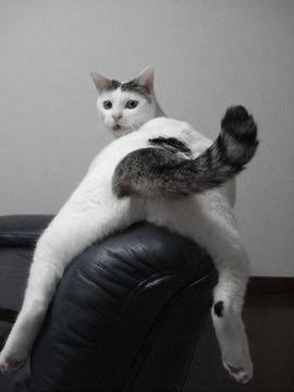 頼んだ画像を誰かに貼ってもらうトピ