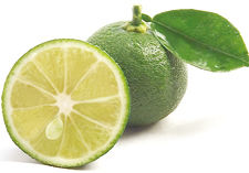 意外な使い方も!?『#いまスダチの時』のスダチの活用法が凄い！ - NAVER まとめ