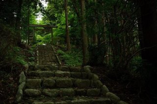 日本で絶対に行くべき素敵な場所