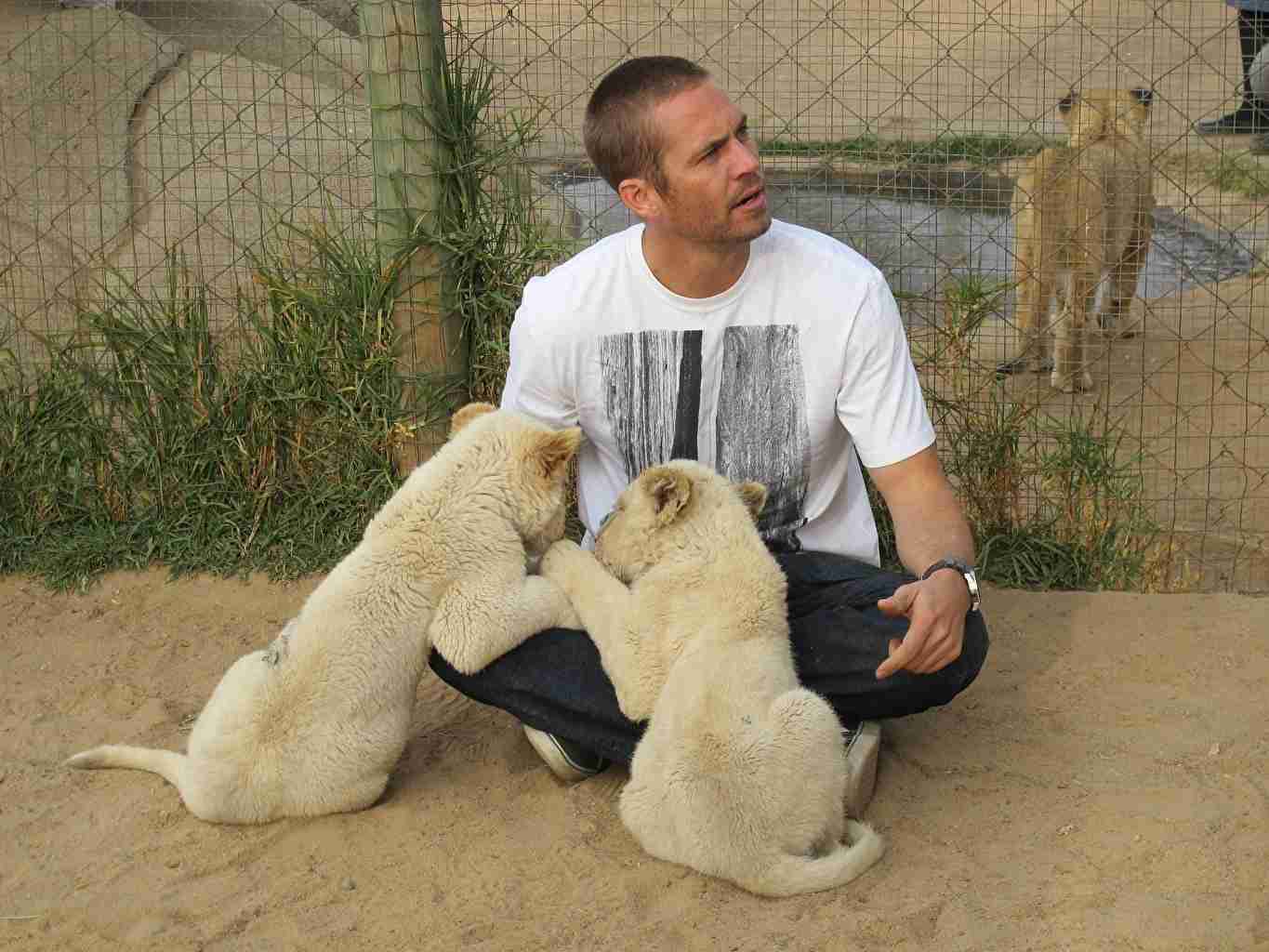 芸能人と動物の写真