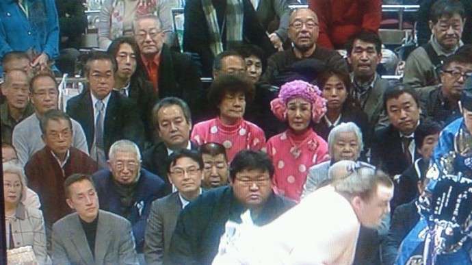 大相撲の客席最前に研ナオコ 中継で映り続ける 研ナオコがいる 集中できないｗ とtwitter実況白熱 ガールズちゃんねる Girls Channel