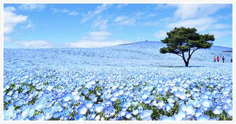 茨城県のオススメ教えて！