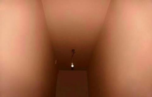ほんやり見ると違う物に見える画像