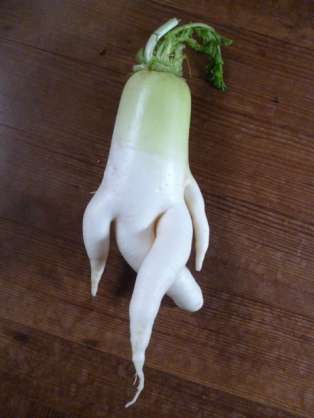 頼んだ画像を誰かに貼ってもらうトピ