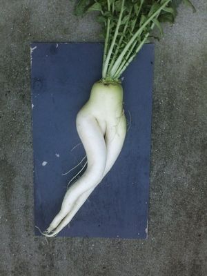 頼んだ画像を誰かに貼ってもらうトピ