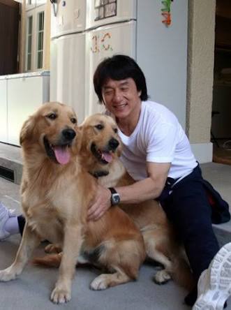 芸能人と動物の写真