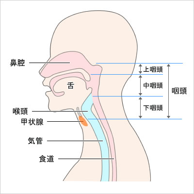風邪をひきやすい！予防法を教えて！