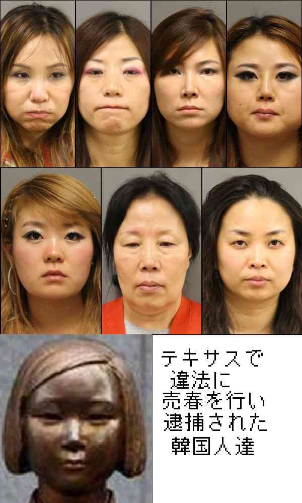 竹島に慰安婦像設置は「日韓友好と平和の象徴に」と首謀者