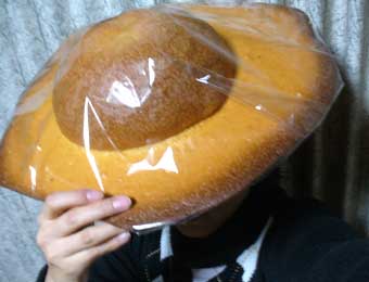 画像に間違った解説をつけるトピ
