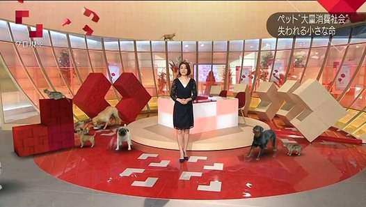 NHK クローズアップ現代＋ 2016年5月26日「追跡！ペットビジネスの闇」HD高画質 160526 - Dailymotion動画