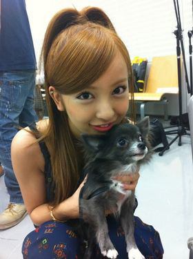 芸能人と動物の写真