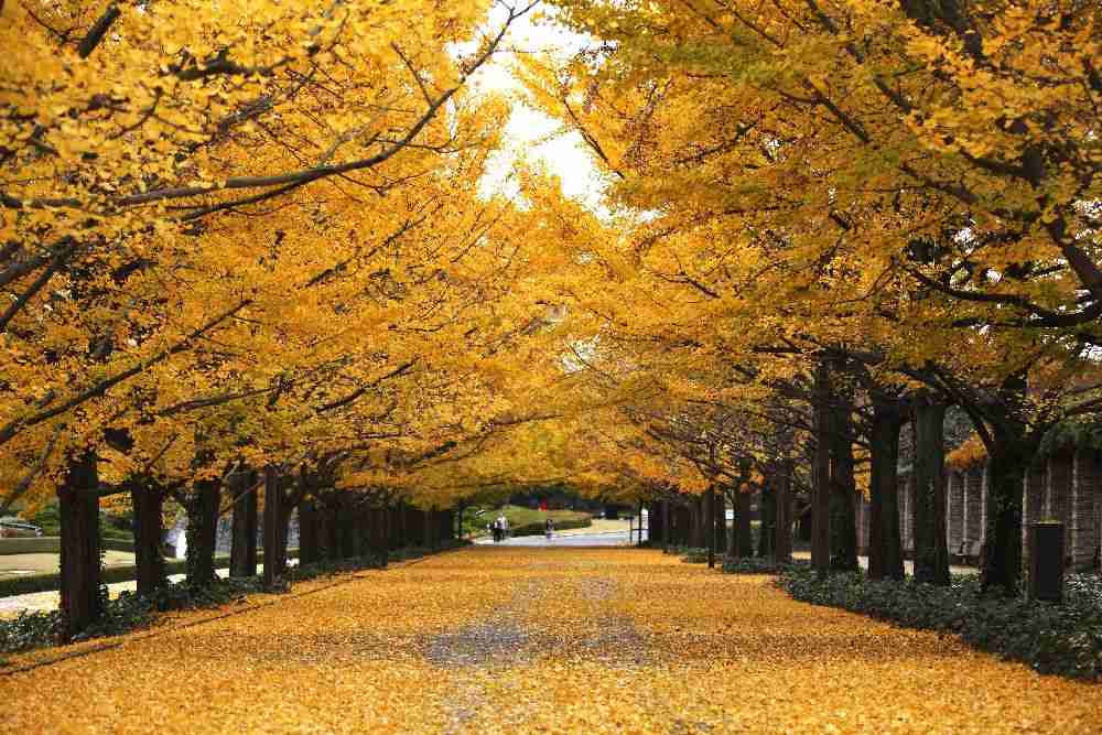 茨城県のオススメ教えて！