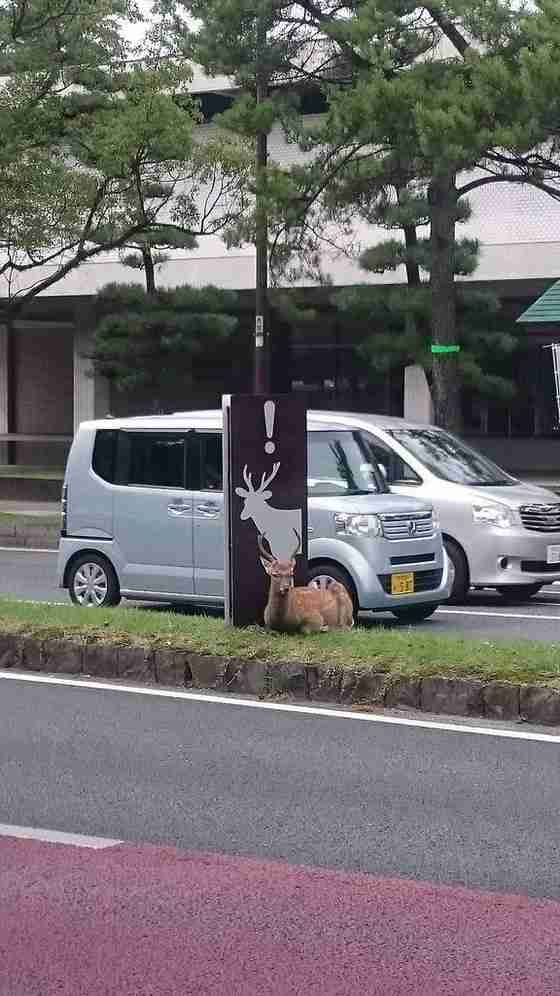笑いの神を降臨させるトピPart2