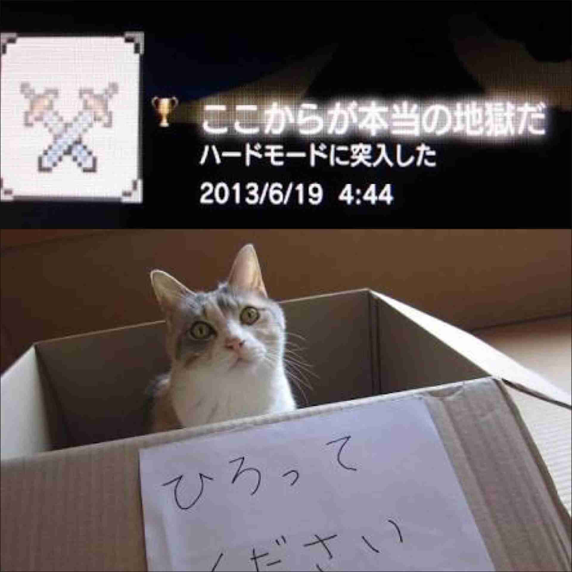 人生後半からハードモードに突入した人〜(*ﾟ∀ﾟ*)→(;´д｀)