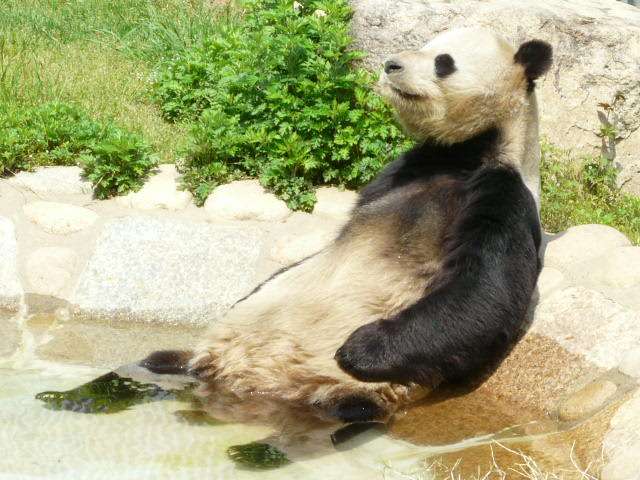 お風呂が面倒な人
