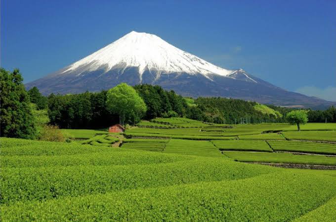 自分の地元のお気に入りの写真や画像を貼ろう♪