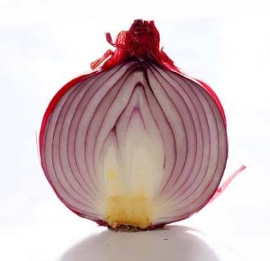 食べ物の断面に萌えるトピ