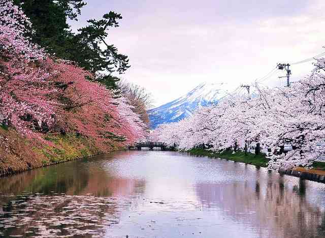 韓流が苦手な人だけ集まれ！part3